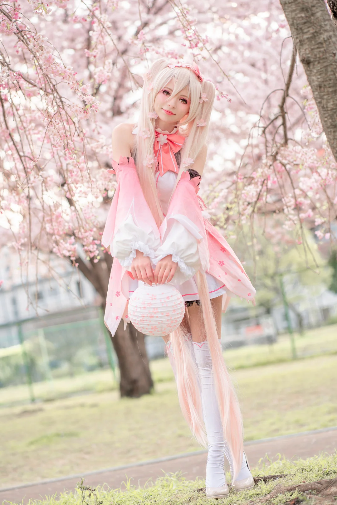 Peachmilky写真合集69套22GB打包下载